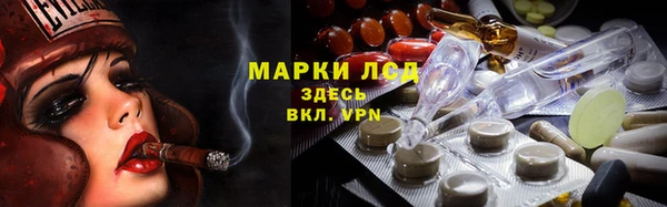 трава Гусь-Хрустальный