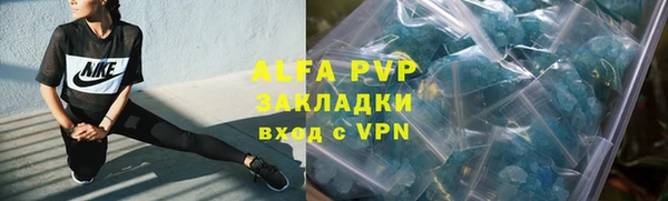 трава Гусь-Хрустальный