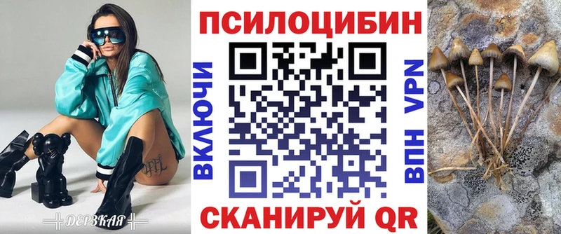 Купить  Октябрьск  Псилоцибиновые грибы ЛСД 
